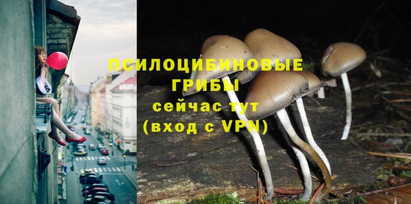 2c-b Остров