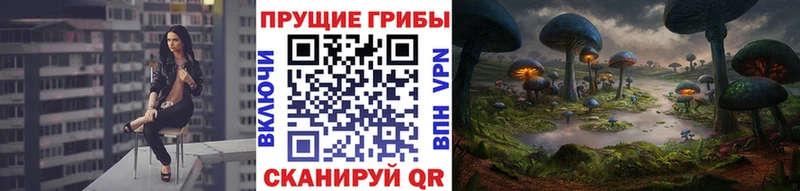 Галлюциногенные грибы GOLDEN TEACHER  MEGA tor  Агрыз 